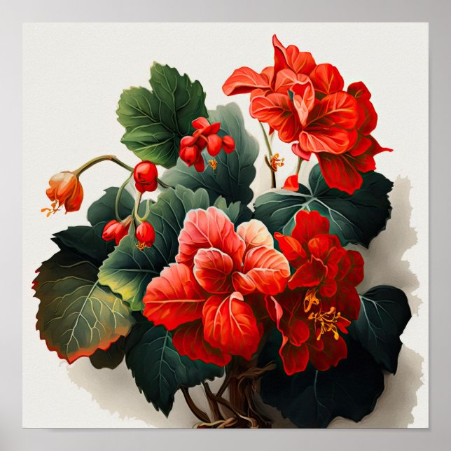 Rote Begonias Blume Art Print Poster (Vorne)