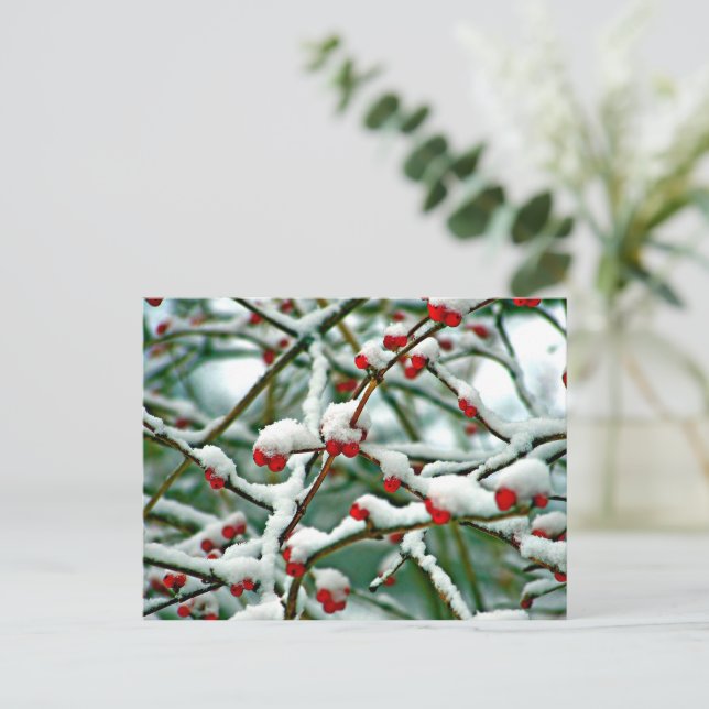 Rote Berries im Schnee (2025) Postkarte (Stehend Vorderseite)