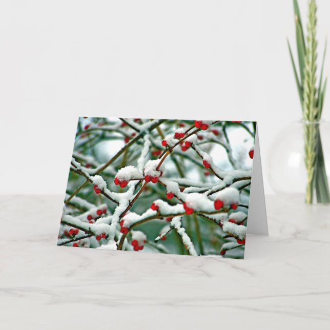Rote Berries im Schnee Karte (Vorderseite)