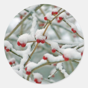 Rote Berries im Schnee Runder Aufkleber