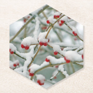 Rote Berries im Schnee Untersetzer