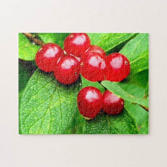 Rote Berries mit Raindrops Natur Puzzle (Horizontal)