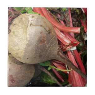 Rote-Bete-Wurzeln Fliese
