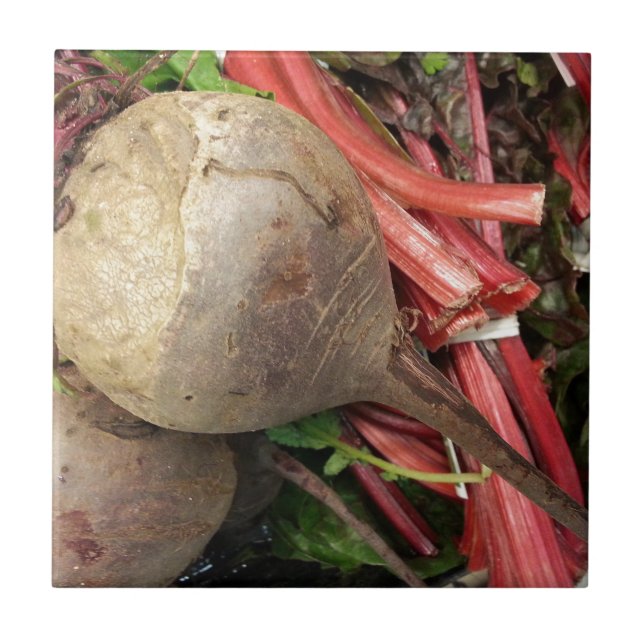 Rote-Bete-Wurzeln Fliese (Vorderseite)