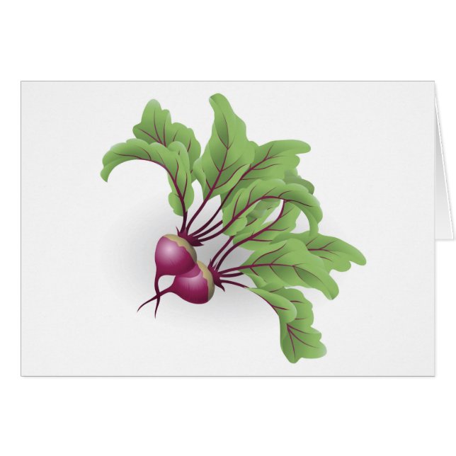 Rote-Bete-Wurzeln Illustration (Vorderseite (Horizontal))