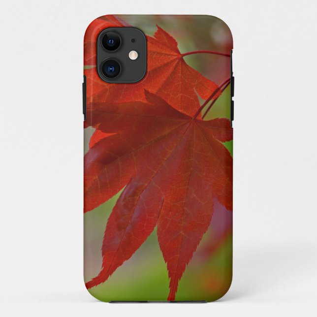 Rote Blätter Case-Mate iPhone Hülle (Rückseite)