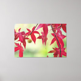 Rote Blätter Leinwanddruck