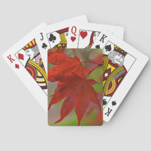 Rote Blätter Spielkarten