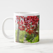 Rote Blätter und Walkway - Martha's Vineyard