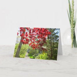 Rote Blätter und Walkway - Martha's Vineyard Karte