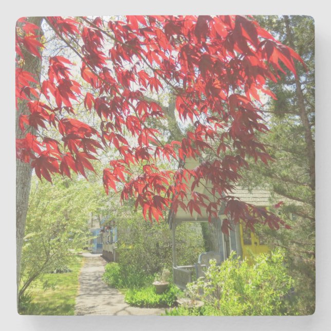 Rote Blätter und Walkway - Martha's Vineyard Steinuntersetzer (Vorderseite)