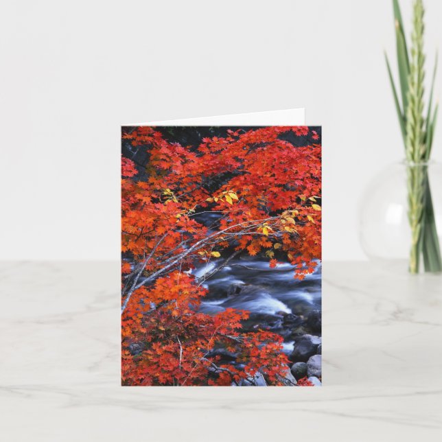 Rote/blaue Landschaft Karte (Vorderseite)