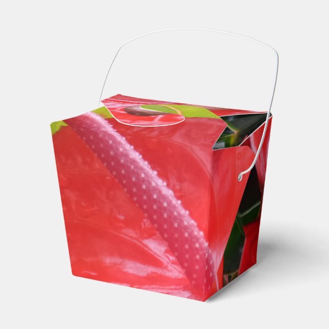 Rote Blume "Abnehmen" Geschenkschachtel (Vorderseite)