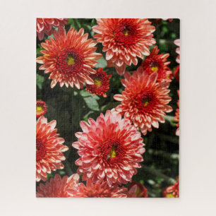 Rote Blume Chrysanthemum Puzzle