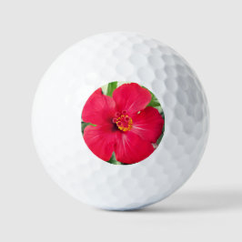 Rote Blume des Hibiskus Rosa-sinensis Golfball