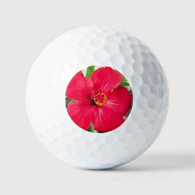 Rote Blume des Hibiskus Rosa-sinensis Golfball (Vorderseite)