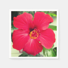Rote Blume des Hibiskus Rosa-sinensis Serviette