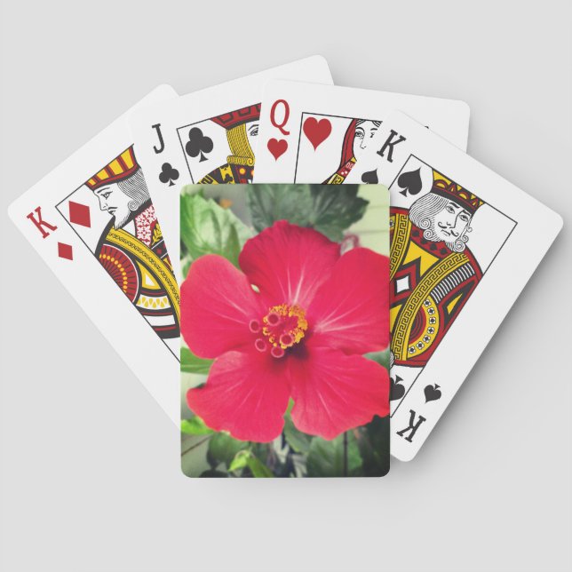Rote Blume des Hibiskus Rosa-sinensis Spielkarten (Rückseite)