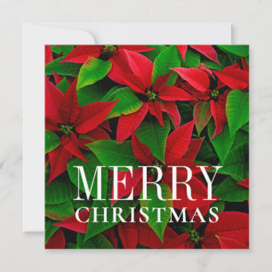 Rote Blume Feiertagskarte