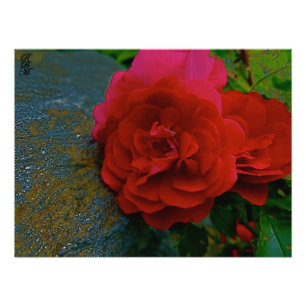 Rote Blume Fotodruck