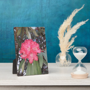 Rote Blume Fotoplatte