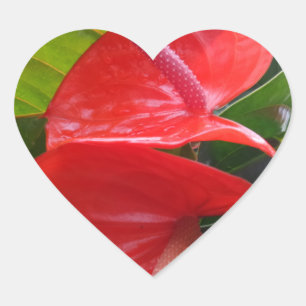 Rote Blume Herzsticker Herz-Aufkleber