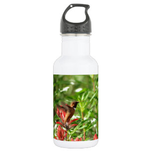 Rote Blume Hummingvogel Edelstahlflasche