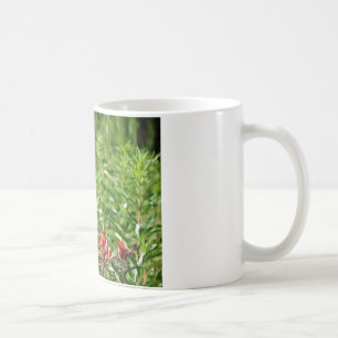 Rote Blume Hummingvogel Kaffeetasse