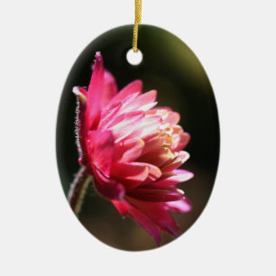 Rote Blume in der Sonnenlicht-Verzierung Keramik Ornament