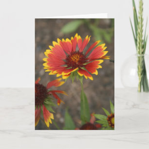 Rote Blume Karte
