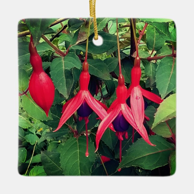 Rote Blume Keramikornament (Vorderseite)