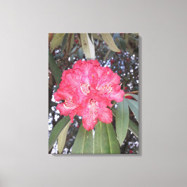 Rote Blume Leinwanddruck