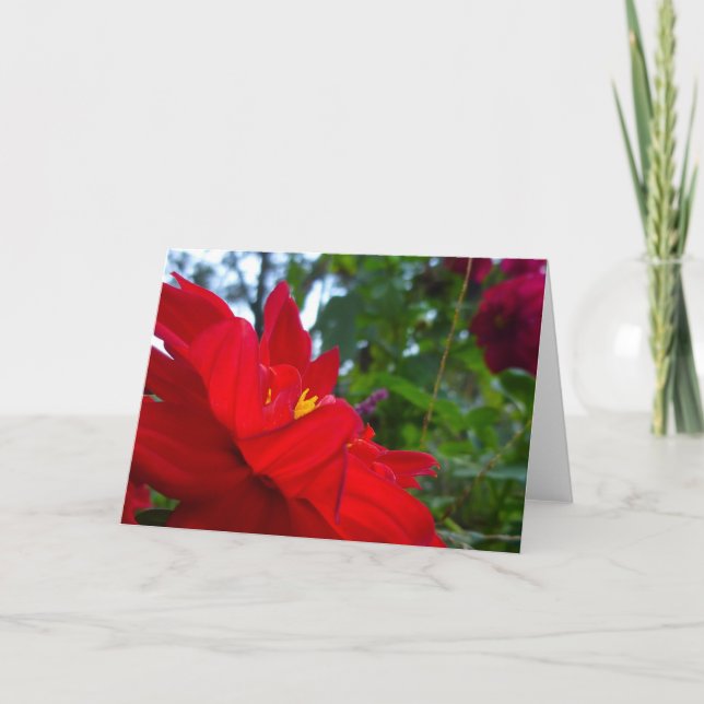 Rote Blume mit Gelbzentrum Karte (Vorderseite)