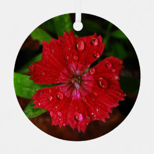Rote Blume mit Raindrops-Foto Ornament Aus Metall
