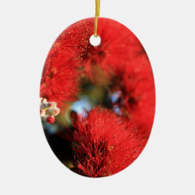 Rote Blume Pohutukawa Keramikornament (Vorne)