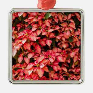 Rote Blume Poinsettia Weihnachten Ornament Aus Metall