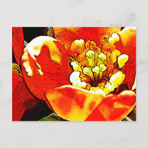 Rote Blume Postkarte