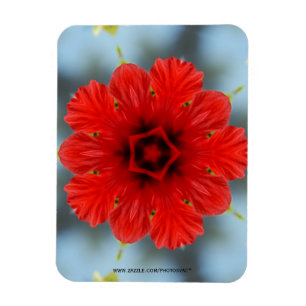 Rote Blume Premium Magnet