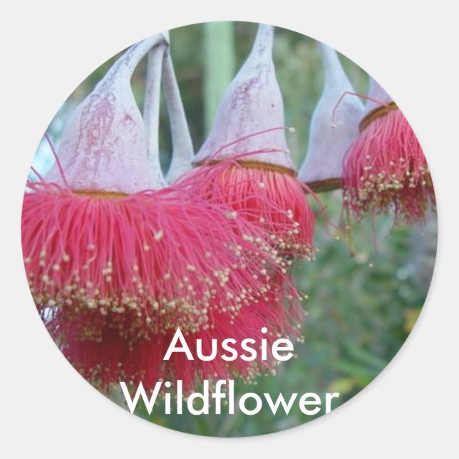 Rote Blume Runder Aufkleber (Vorderseite)