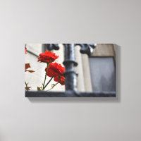 Rote Blume Schmiedeeisen New York City Fotografie