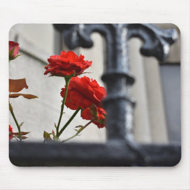 Rote Blume Schmiedeeisen New York City Fotografie Mousepad (Vorne)