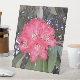 Rote Blume Sockelschild