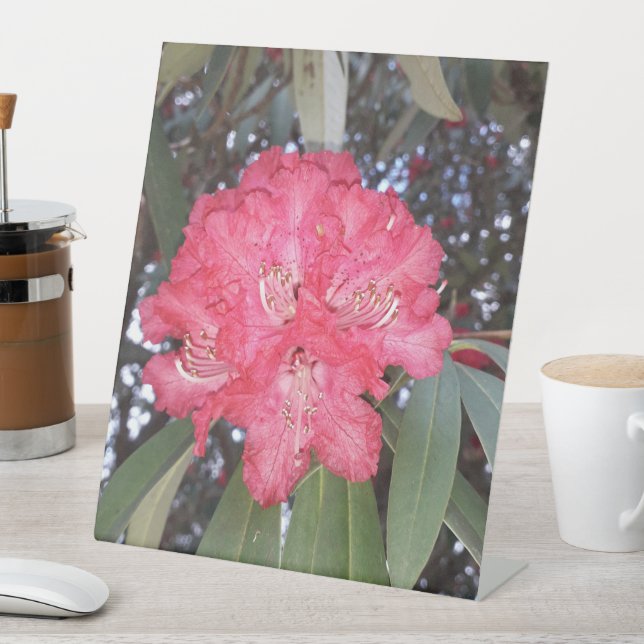 Rote Blume Sockelschild (In Situ)