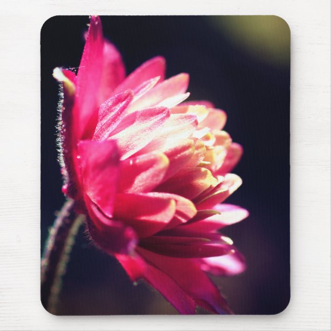 Rote Blume Sonnenlicht Mousepad (Vorne)