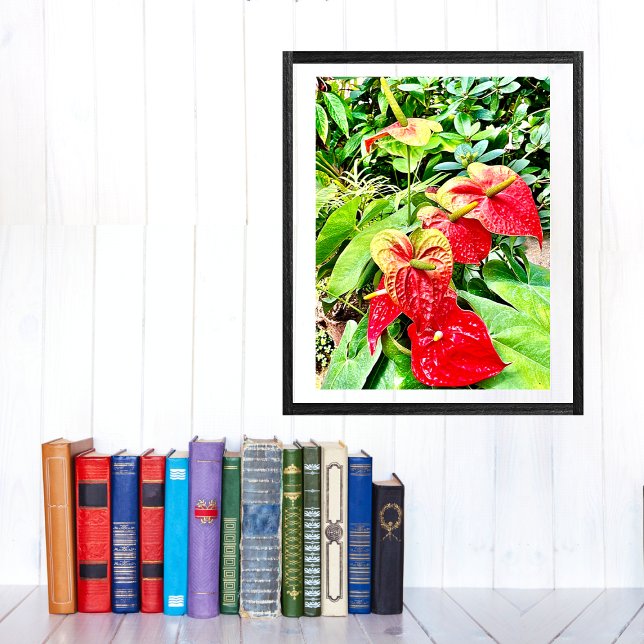 Rote Blume Tropischer Garten Poster (Von Creator hochgeladen)