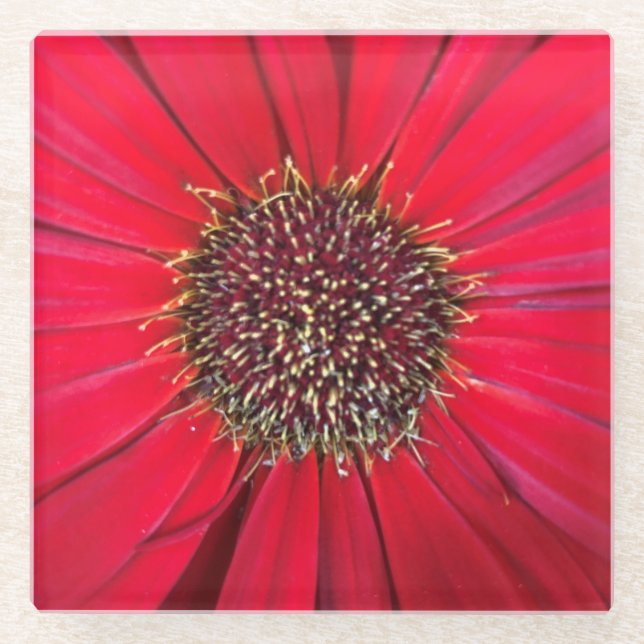 Rote Blume Untersetzer (Vorderseite)