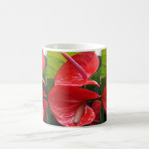 Rote Blume Weißer Kaffee Tasse