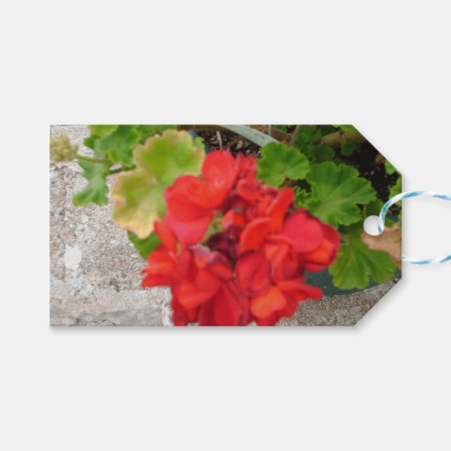 rote Blumenseidenpapier Geschenkanhänger (Vorderseite (Horizontal))