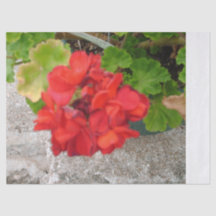rote Blumenseidenpapier