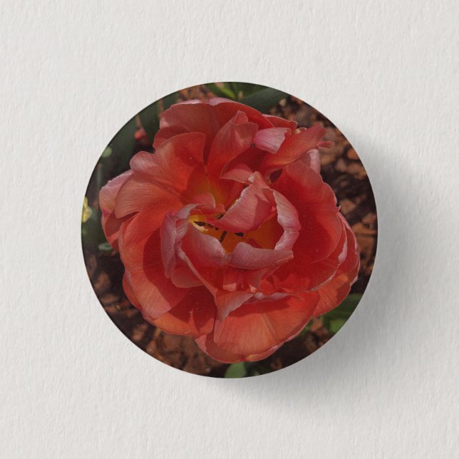 rote Blüte  Button (Vorderseite)